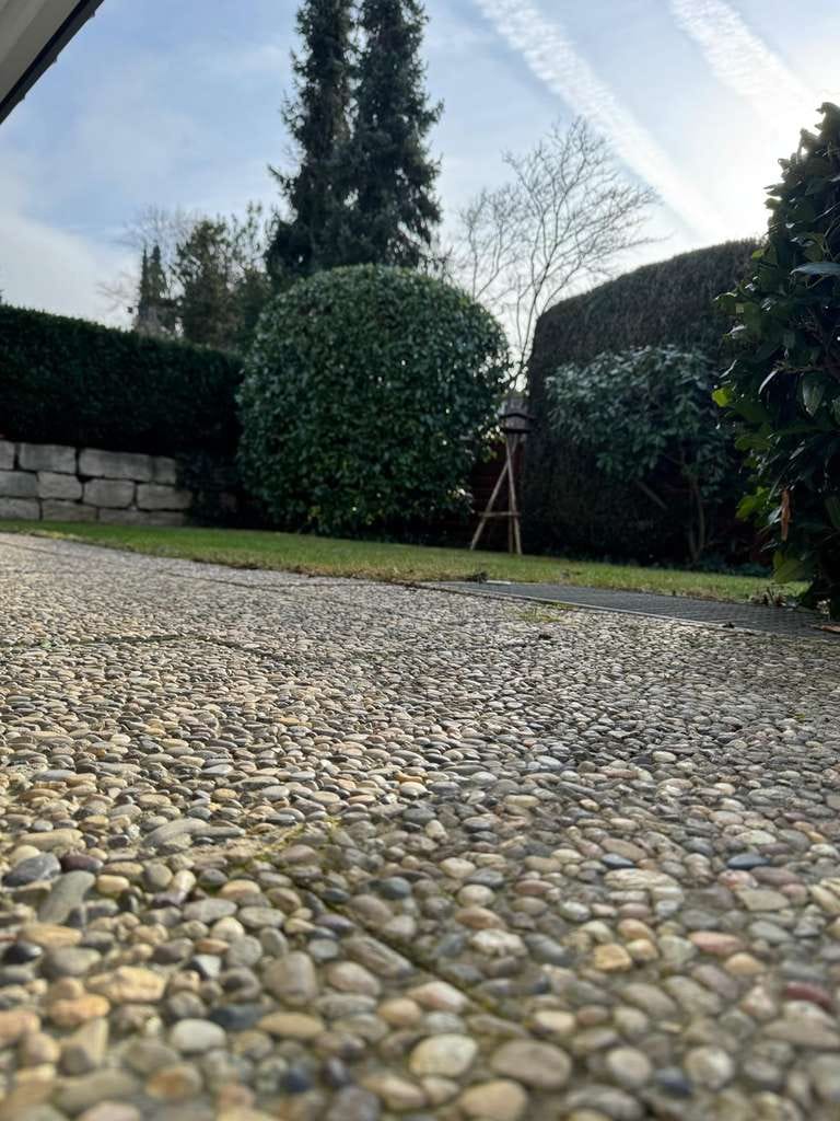 Immobilie in Au - Ein Haus - viele Lebensmodelle: Wohnen, Arbeiten und Generationen verbinden in Au bei Freiburg - Bild 4