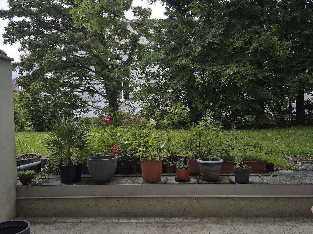 Immobilie in Rosenheim - Interessanter Kaufpreis! 
Vermietete 3-Zi.-ETW, Ros./Süd! - Bild 2