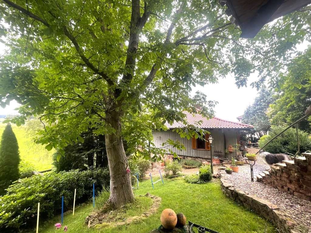 Immobilie in Uslar - Attraktives Anwesen mit mediterranem Flair und traumhaftem Fernblick  in der Nähe von Uslar ! - Bild 4