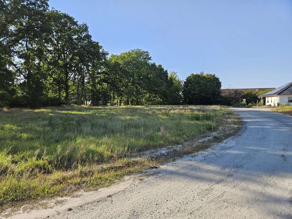 Immobilie in Hoyerhagen - Mit Grundstück, für alle, die es großzügig lieben. Ihr Familienhaus in Hoyerhagen. - Bild 3