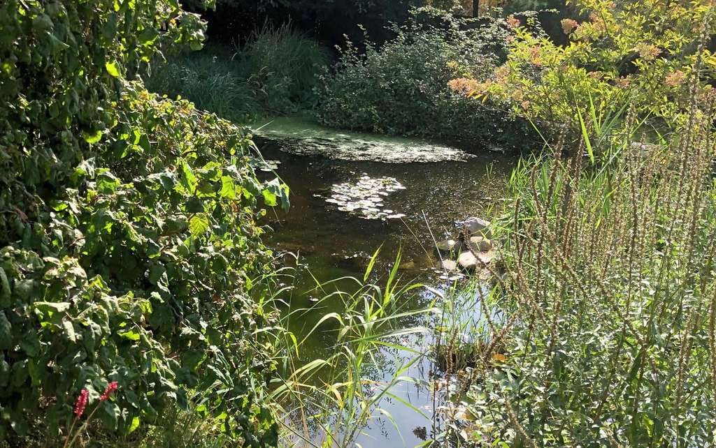 Immobilie in Drebkau - Wohnen am Wasser – Finnische Blockhäuser in idyllischer Parkanlage - Bild 1