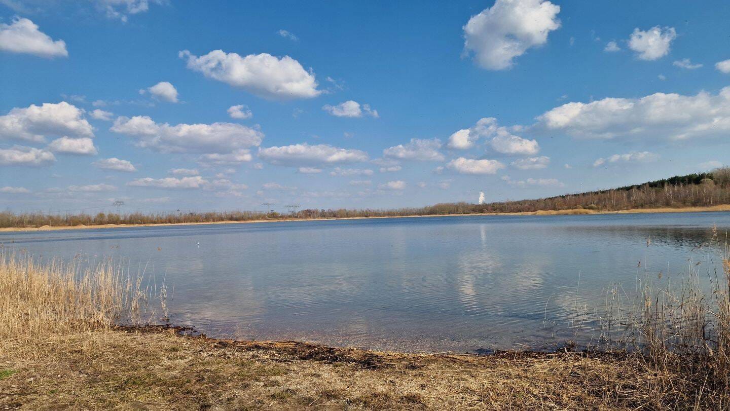 Immobilie in Pegau - Großzügiges Wohnen am Werbener See - Bild 2