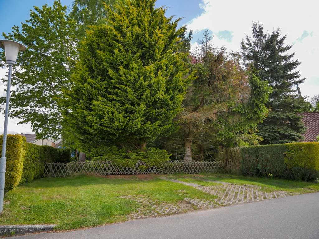 Immobilie in Dreschvitz - RÜGEN: Verkaufe Haus mit 145qm Grundfläche und ausgebautem Dachgeschoss - Bild 2