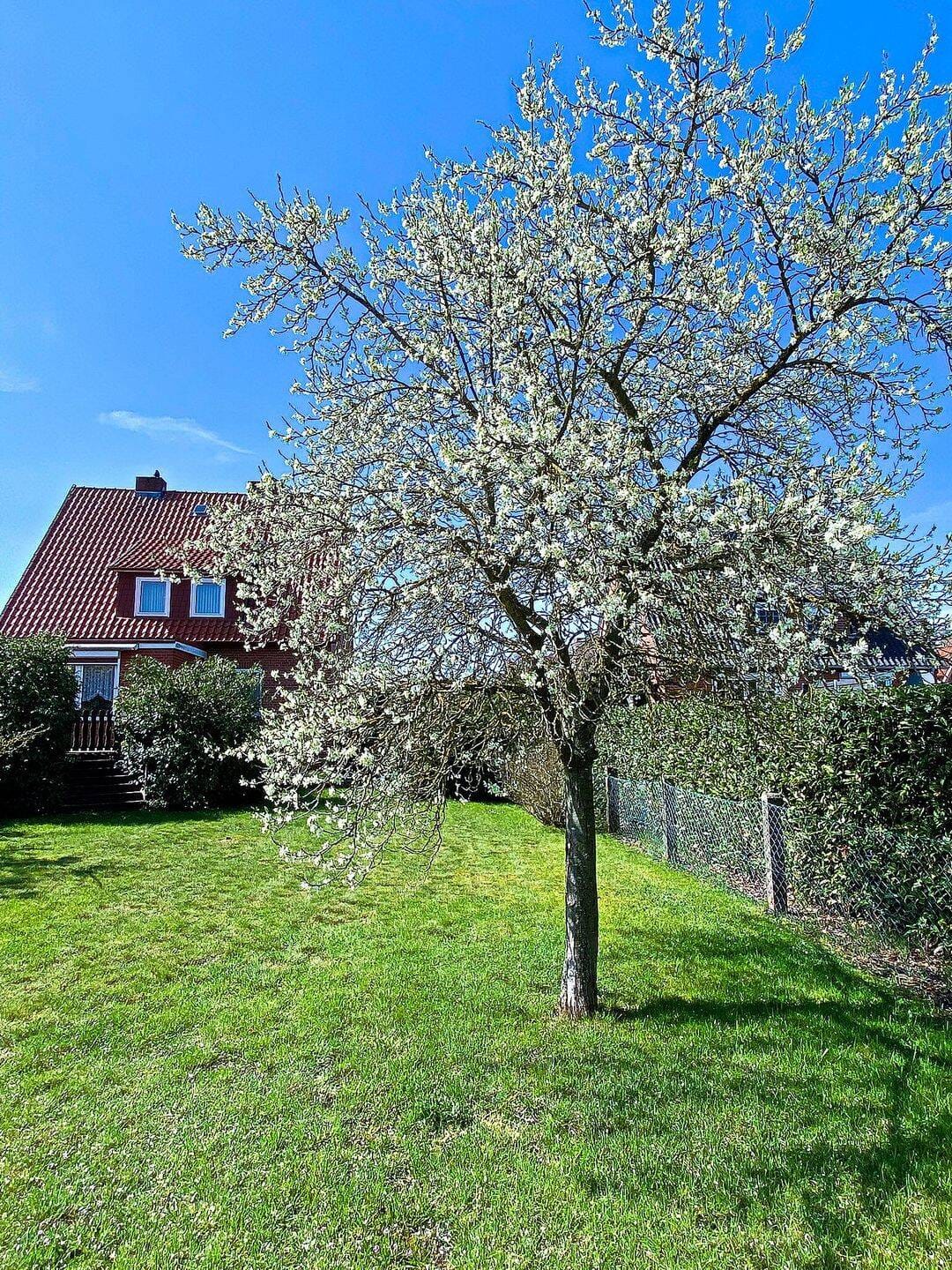 Immobilie in Dannenberg - Zweifamilienhaus in bevorzugter Wohngegend auf 752 qm Grundstück im schönen Dannenberg - Bild 1