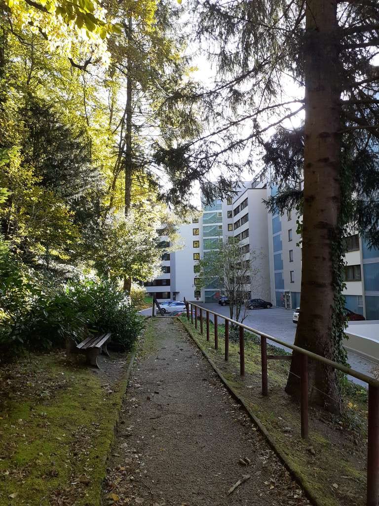 Immobilie in Bad Herrenalb - 1-Zimmer-Wohnung in Bad Herrenalb mit wunderbarem Ausblick - Bild 1