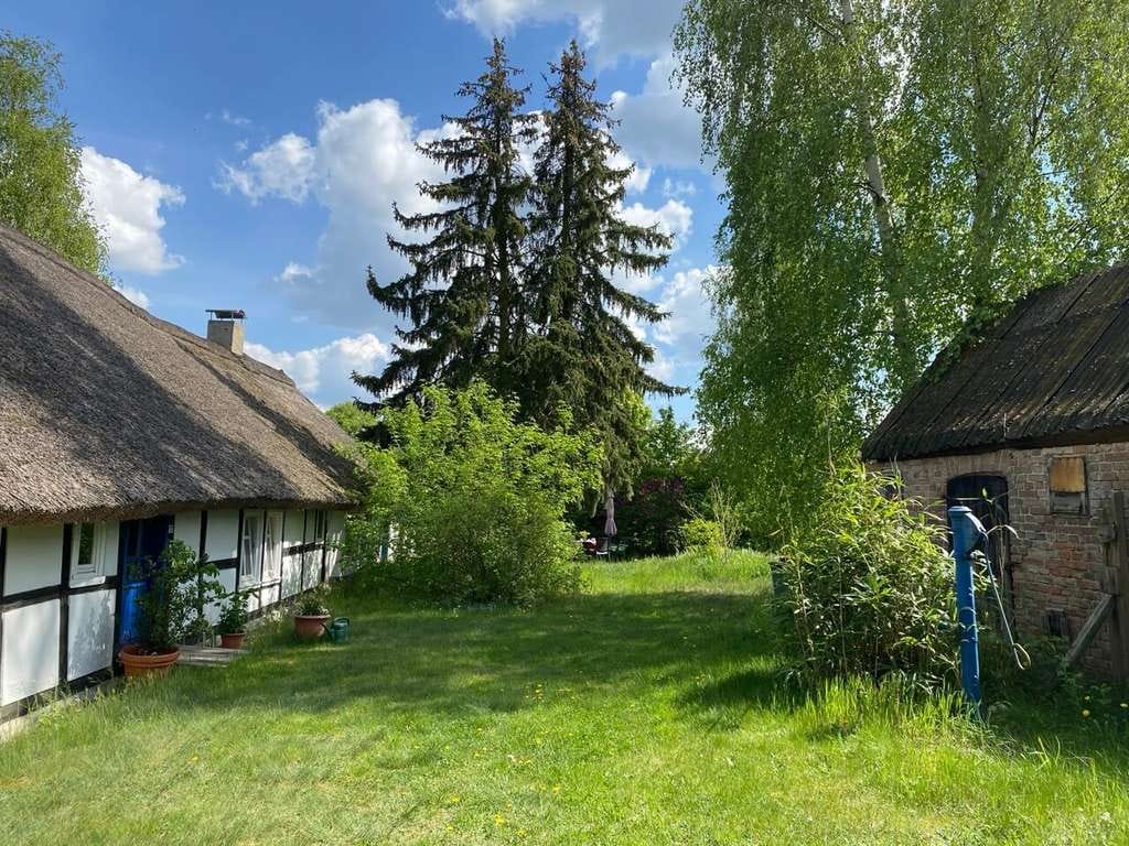 Immobilie in Wilhelmsburg - Das Eichhof Cottage  - zauberhaftes Fachwerkhaus unter Reet - Bild 3