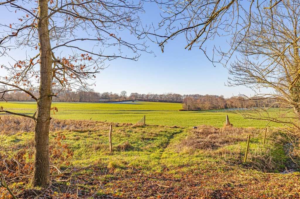 Immobilie in Steenfeld - Resthof mit rustikalem Charme und großer Hauskoppel in ruhiger Dorflage - Bild 2