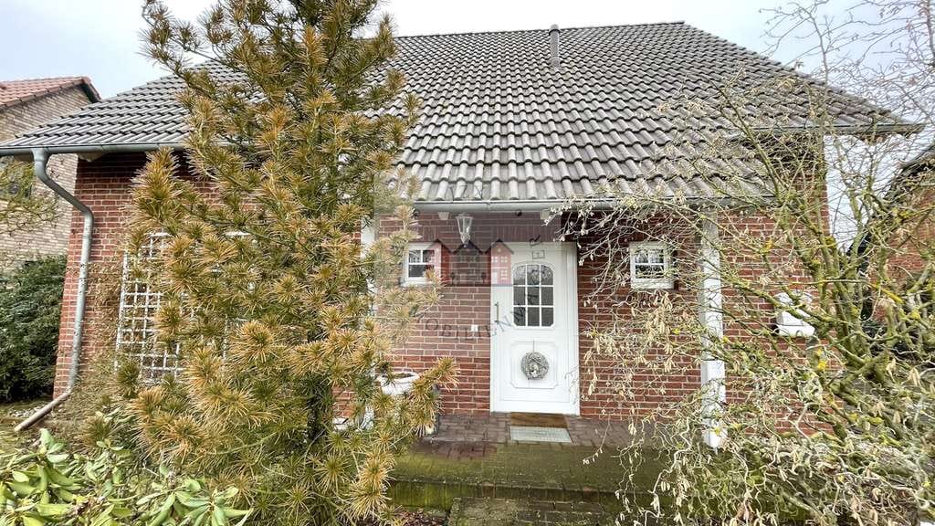 Immobilie in Bad Liebenwerda - EFH Bali - Bild 3