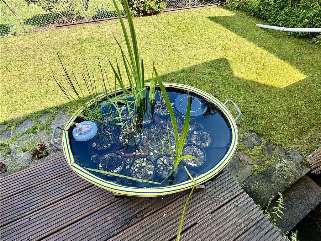 Immobilie in Bodenfelde - Freistehendes Einfamilienhaus in Bodenfelde! - Bild 0