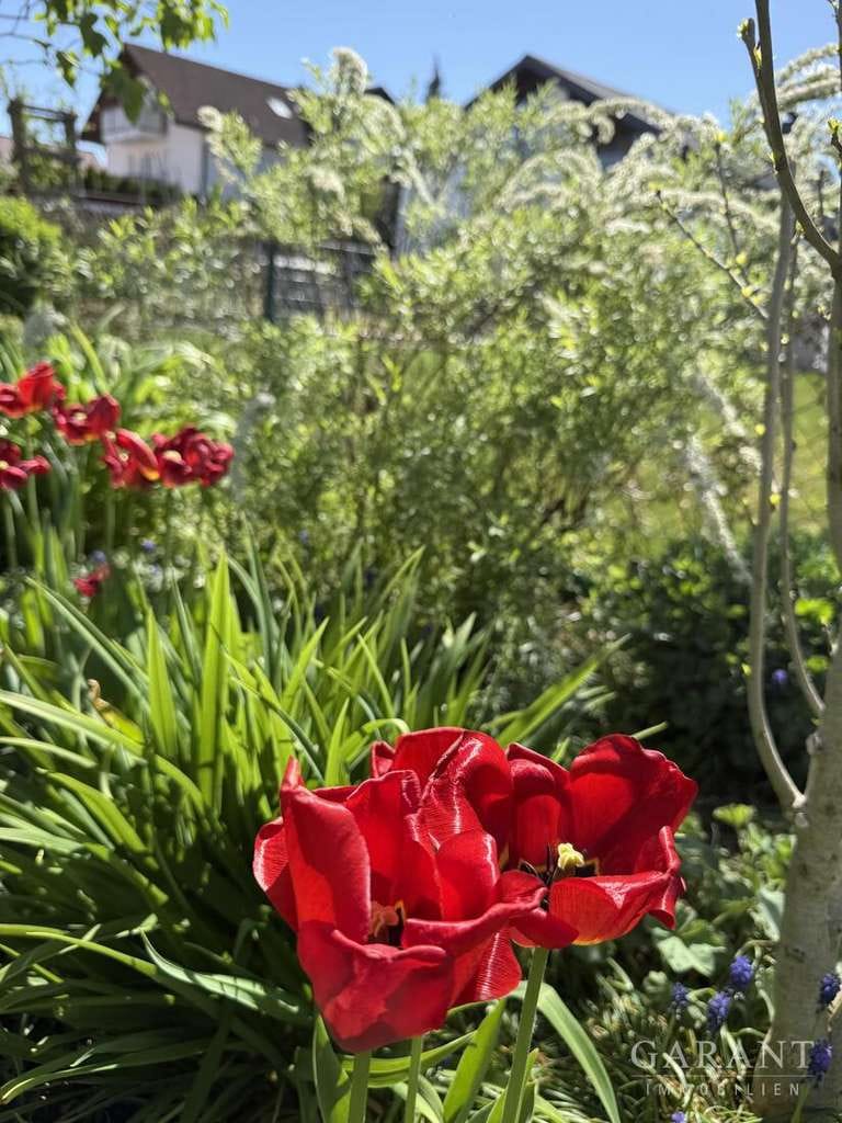 Immobilie in Pförring - Ein Zuhause für Generationen - viel Platz, Gartenparadies & Raum für Familienleben - Bild 3