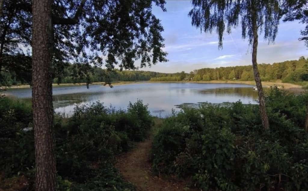 Immobilie in Eisenhüttenstadt - Naturidylle am Pinnower See – Winterfester Bungalow mit Kamin - Bild 0