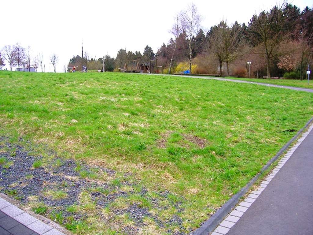Immobilie in Fensdorf - modernes Architektenhaus in massiver Bauweise und in idyllischer Lage - Bild 1