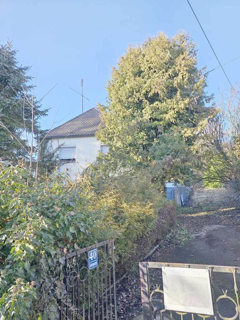 Immobilie in Lenting - Seltene Gelegenheit am Ortsrand von Lenting – Großes Traumgrundstück, Haus, Natur & Potential - Bild 1