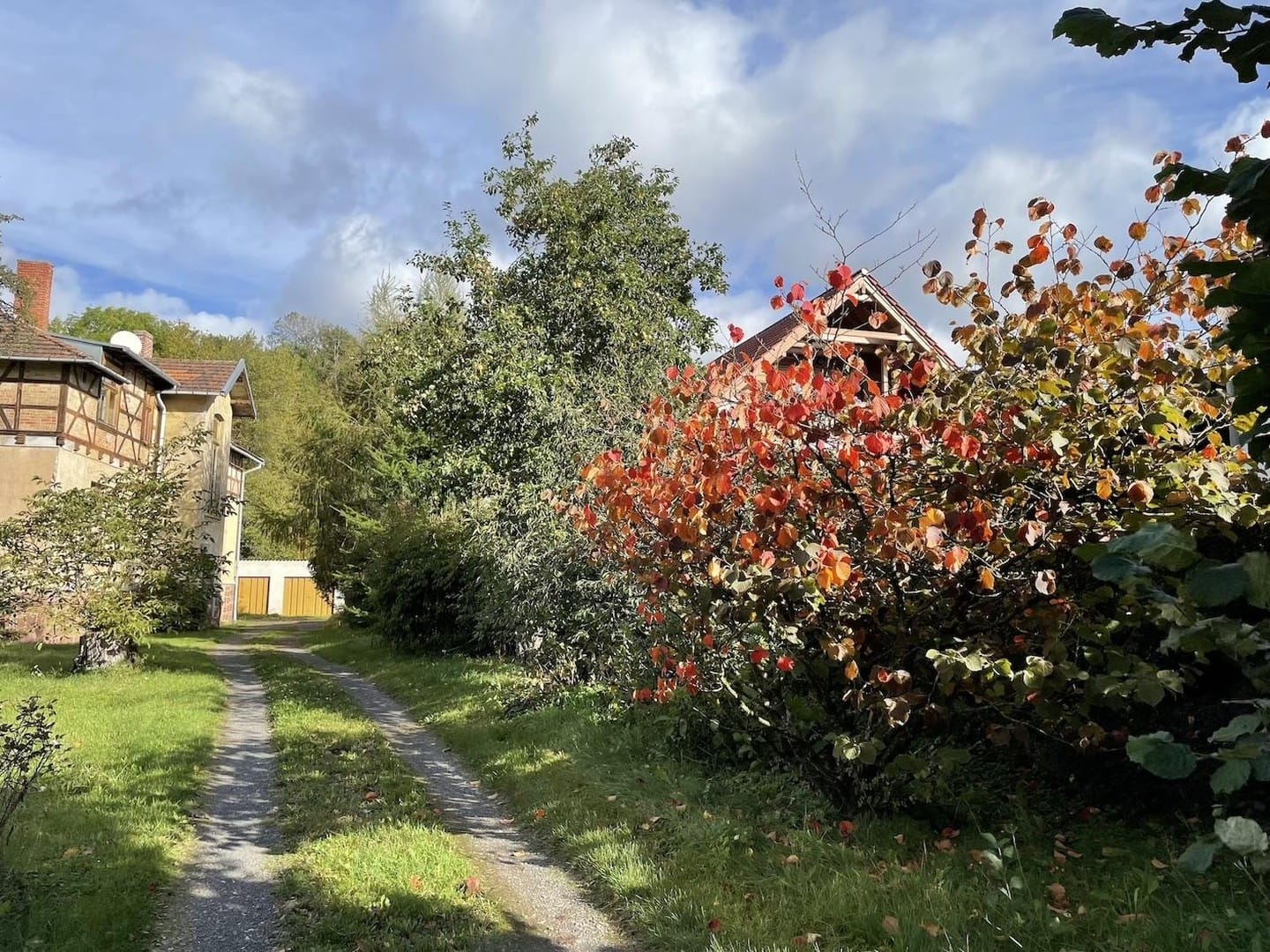 Immobilie in Harztor - Idyllische Villa/Mehrfamilienhaus in grünem Erholungsort (Harz) - mit Ausbau-/Investmentpotential - Bild 1