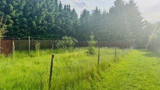 Immobilie in Mügeln - Wohnen auf dem Lande - Bild 2