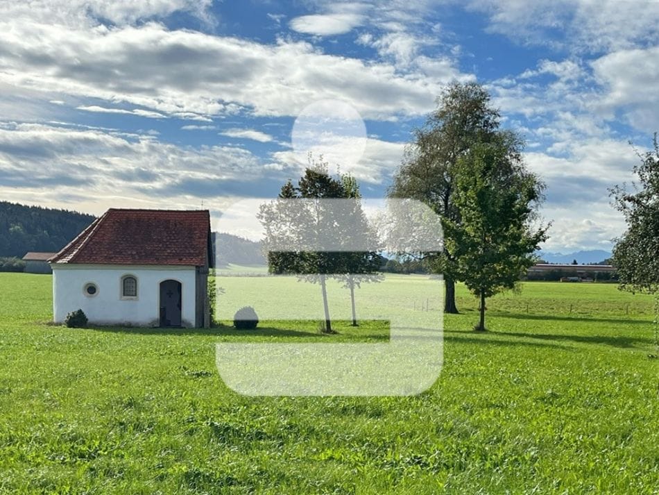 Immobilie in Kaufbeuren - Hell und geräumig - Bild 0
