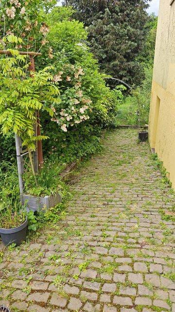 Immobilie in Eßweiler - Großes Einfamilienhaus mit Garten und Garage - Bild 4