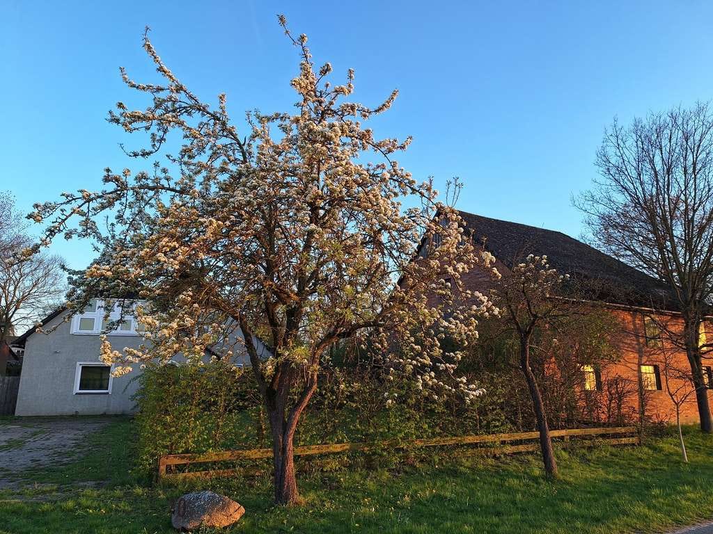 Immobilie in Wittingen - Resthof mit Weide und großem Garten - ideal für Selbstversorger und Tierbesitzer - 1,37ha - Bild 0