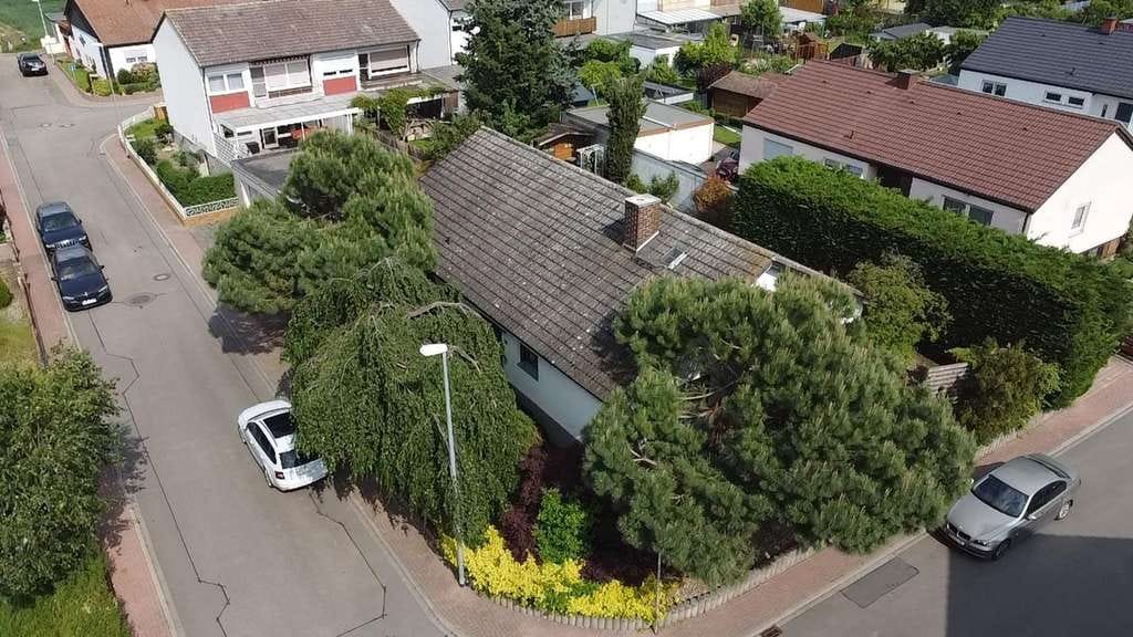 Immobilie in Hochdorf-Assenheim - Provisionsfreies Einfamilienhaus mit 594 m² Grundstück, Südgarten, Doppelgarage, Sauna - Bild 0