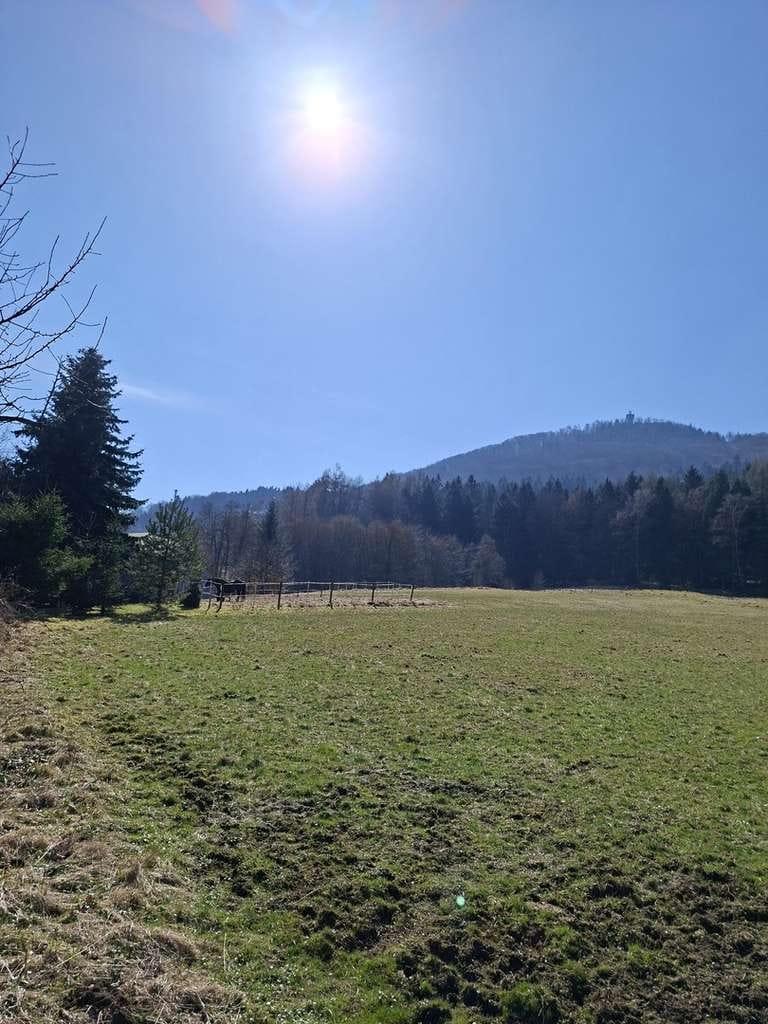 Immobilie in Großschönau - Wohnen wo andere abschalten-Haus mit Blick auf die Lausche in traumhafter Naturlage - Bild 0