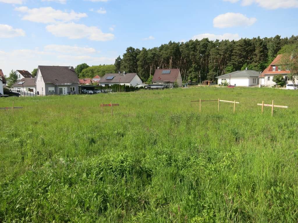 Immobilie in Reichenwalde - Exklusiv wohnen in Reichenwalde bei Bad Saarow – Massivhaus & Grundstück, provisionsfrei - Bild 0