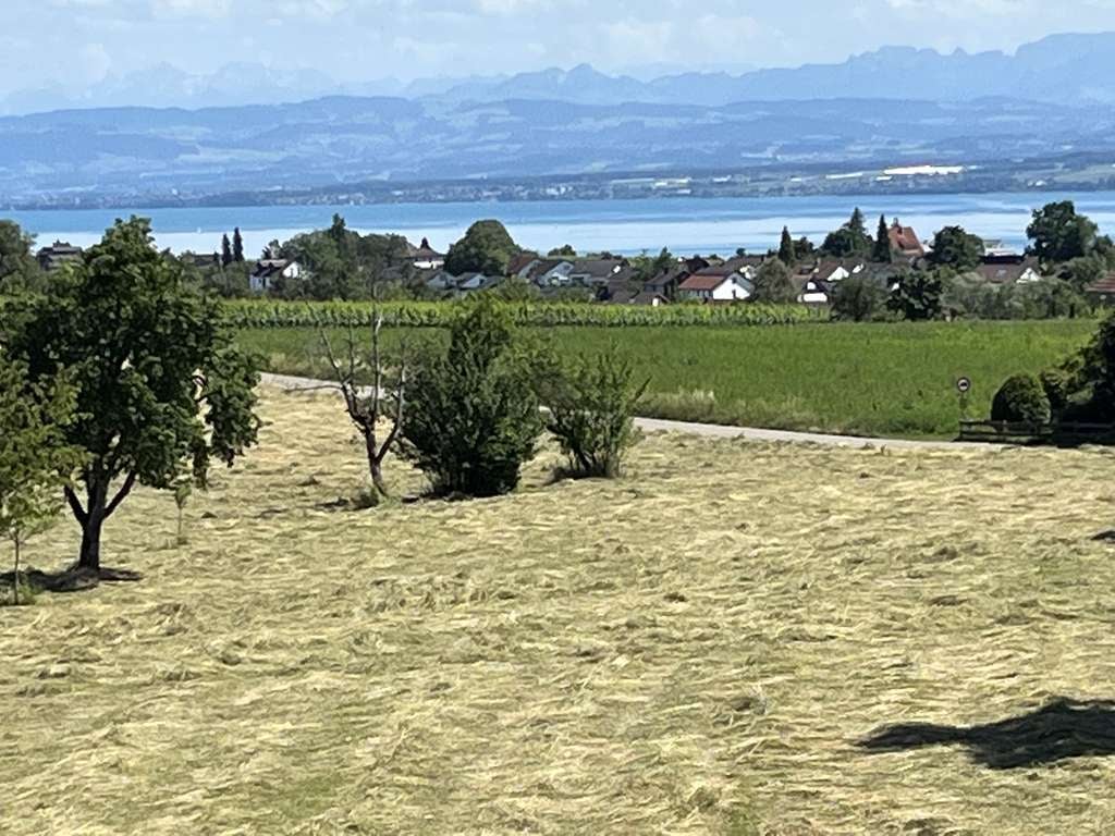 Immobilie in Meersburg - "HIER MÖCHTE ICH WOHNEN." 3-Fam.Haus mit Seesicht - Bild 0