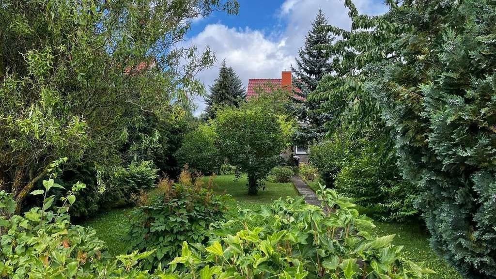 Immobilie in Menteroda - Reihenendhaus mit großem Gartengrundstück in Ortsrandlage - Bild 0