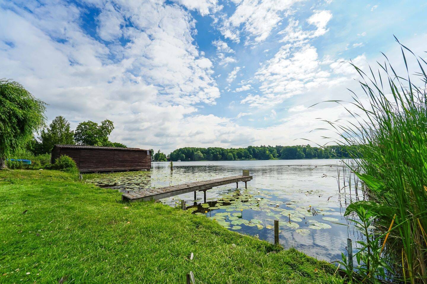 Immobilie in Fürstenberg/Havel - Seezugang & Garten! - Großzügige 4-Zimmer-Wohnung mit Balkon - Bild 2