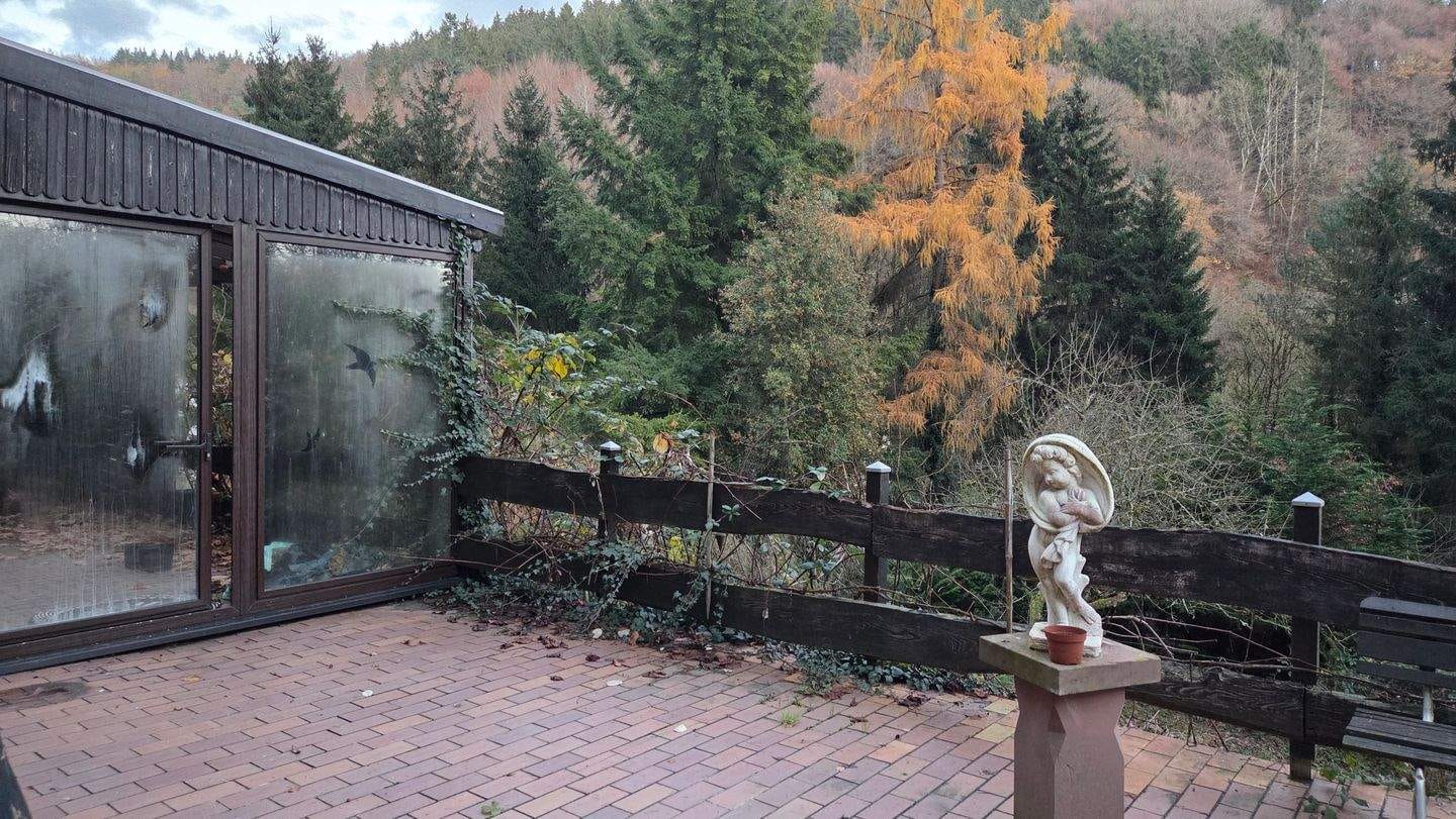 Immobilie in Malberg - Riesiges Grundstück I Teilrenoviert I 2 Wohneinheiten I Blick in die Natur - Bild 3