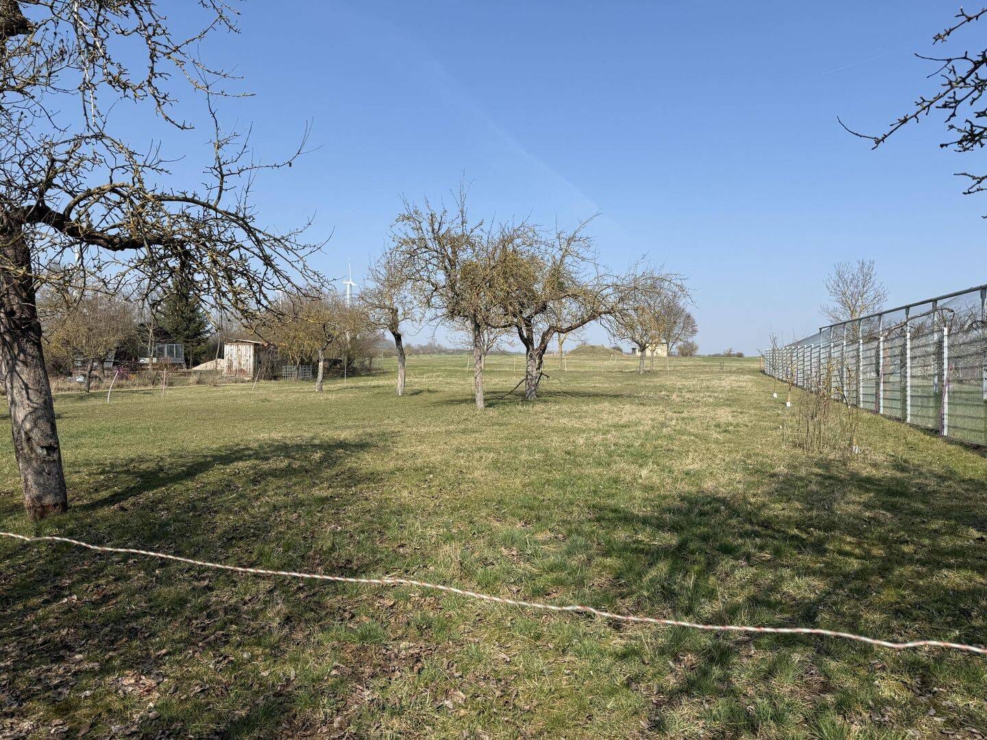 Immobilie in Hörsel - Platz für Mensch & Tier: Charmantes Bauernhaus mit großer Scheune und Koppelmöglichkeiten - Bild 4