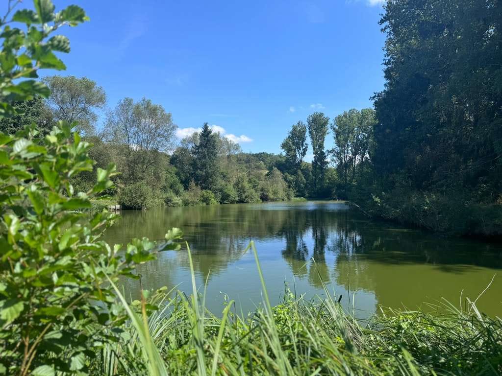 Immobilie in Katzweiler - REINE WOHNNUTZUNG MÖGLICH! GEBÄUDEKOMPLEX MIT NATURTEICH UND BIS ZU 16 HA LAND IN ABS. ALLEINLAGE! - Bild 1
