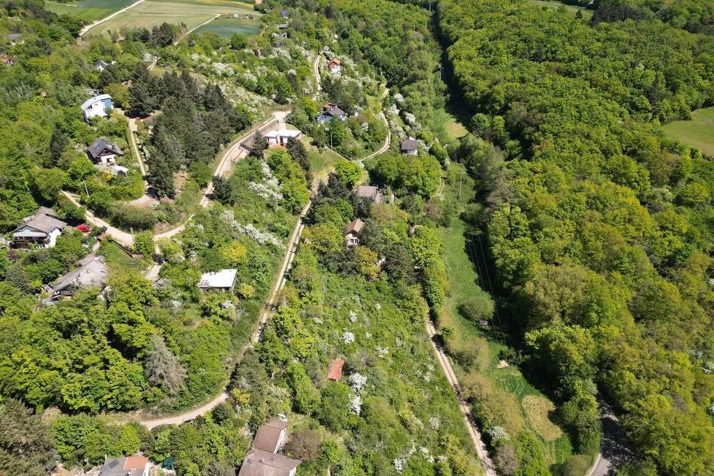 Immobilie in Feilbingert - Ein Rückzugsort für die Seele – Modernes Wohnen inmitten der Stille. - Bild 3