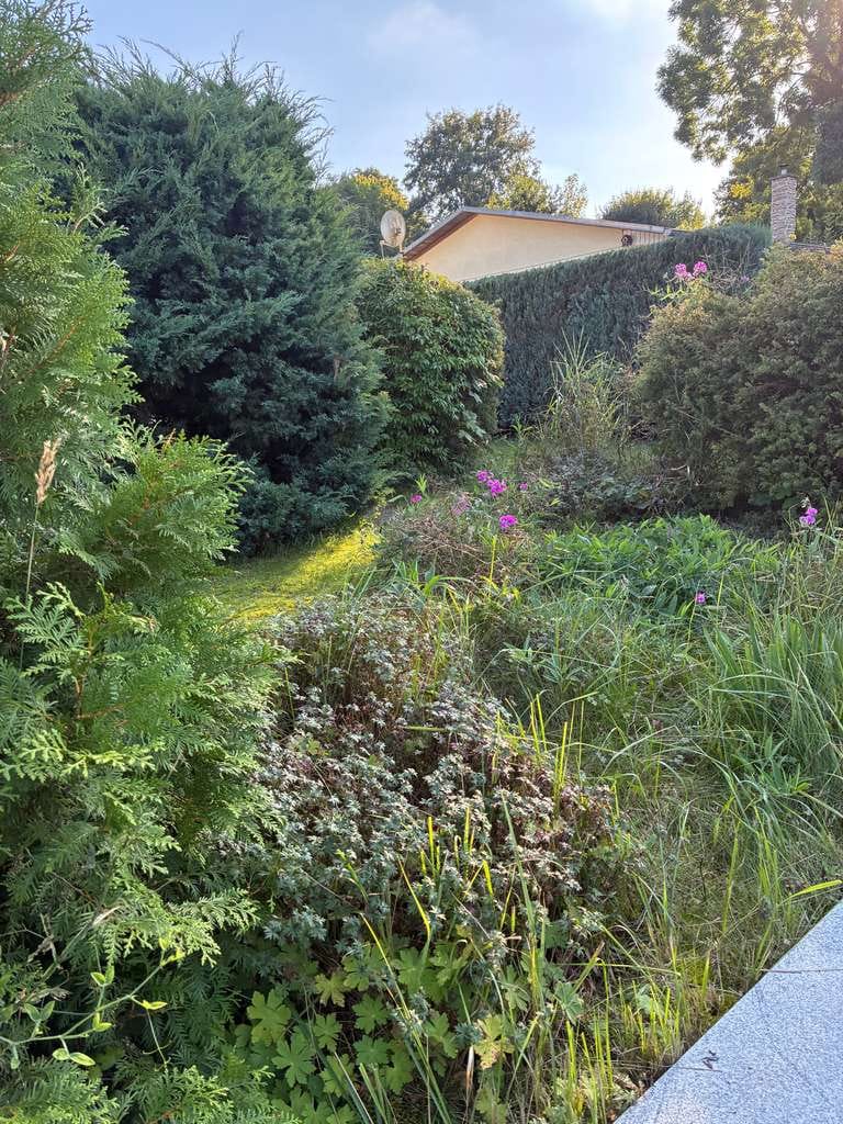 Immobilie in Dahmen - Ein Zuhause für Genießer von Ruhe und Natur - Bild 2