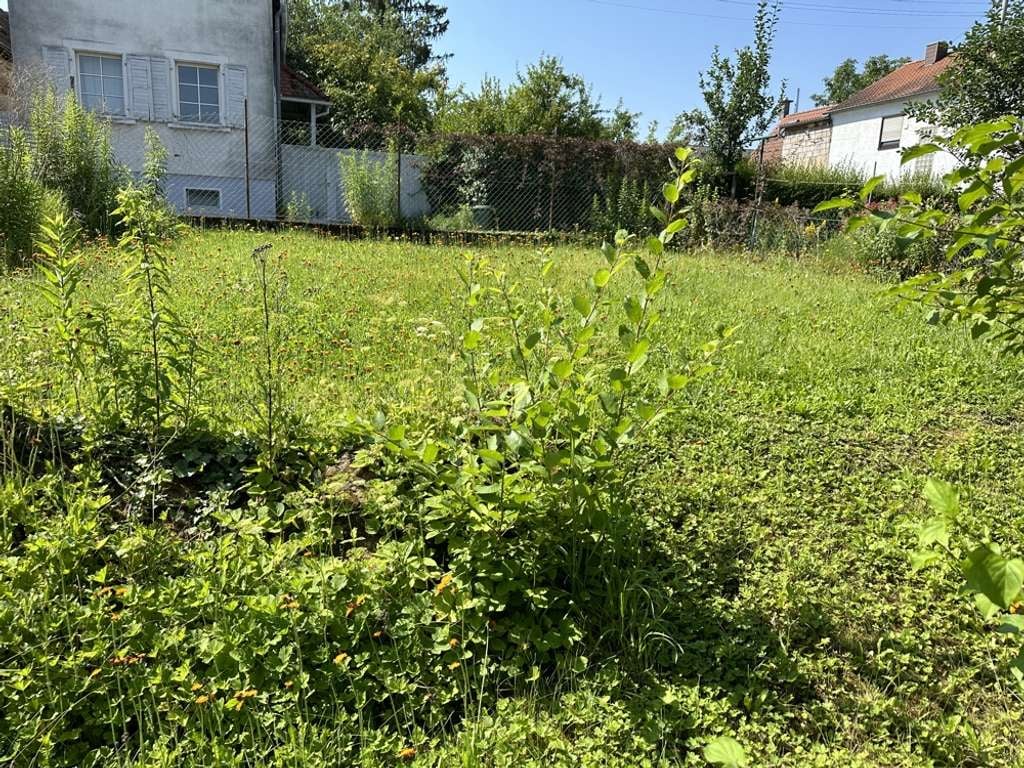 Immobilie in Walsheim - Grundstück mit Altbestand und viel Bau-Potential... - Bild 3