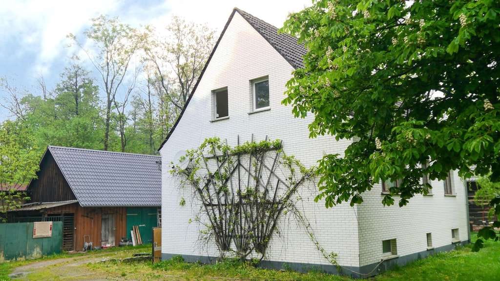 Immobilie in Burg (Spreewald) - Spreewaldliebe zwischen Fließen & Wiesen - Bild 1