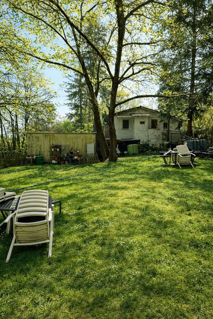 Immobilie in Daxweiler - Wochenendhaus mit großem Waldgrundstück, Gebäude und Bürocontainer - Bild 0