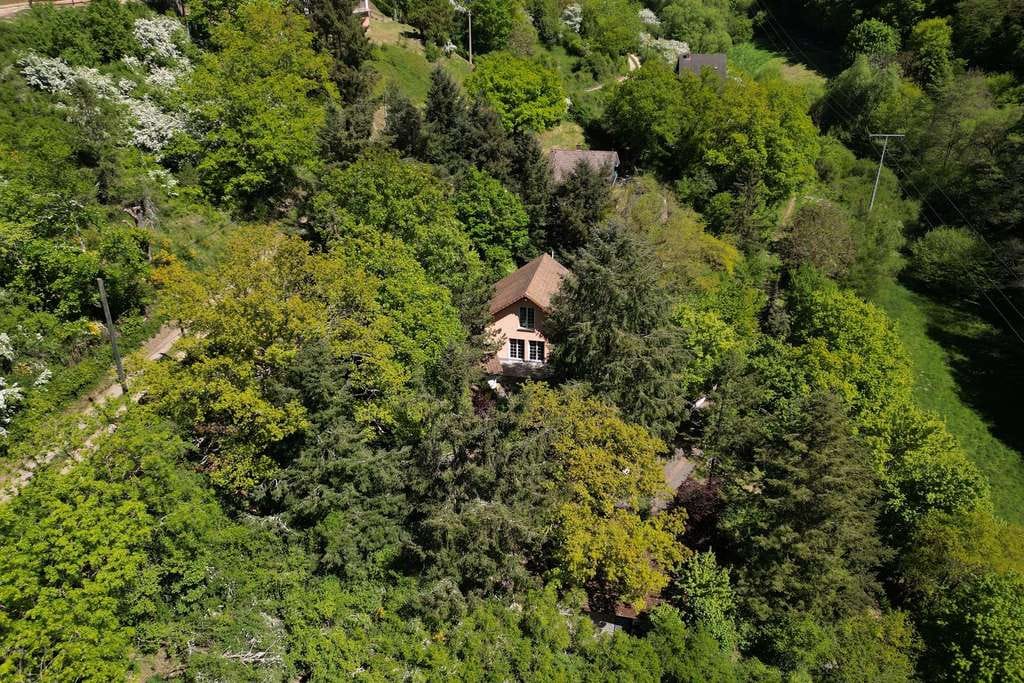 Immobilie in Feilbingert - Ein Rückzugsort für die Seele – Modernes Wohnen inmitten der Stille. - Bild 0