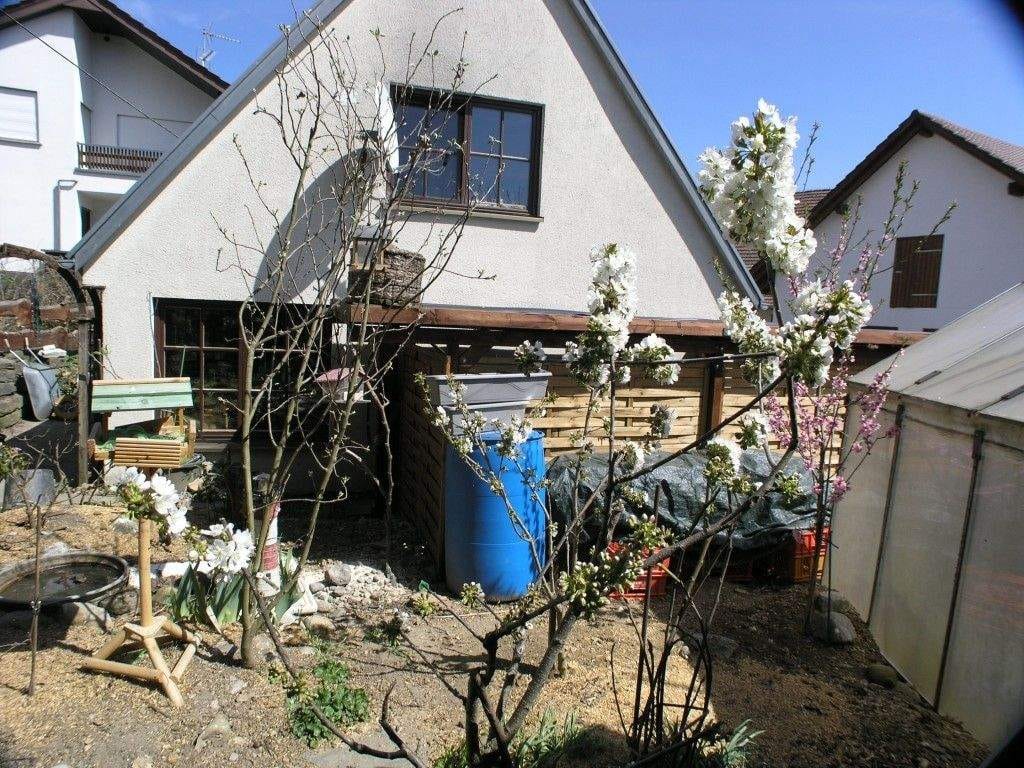 Immobilie in Alleshausen - Bad Buchau Alleshausen Kleines Einfamilienhaus - Bild 4