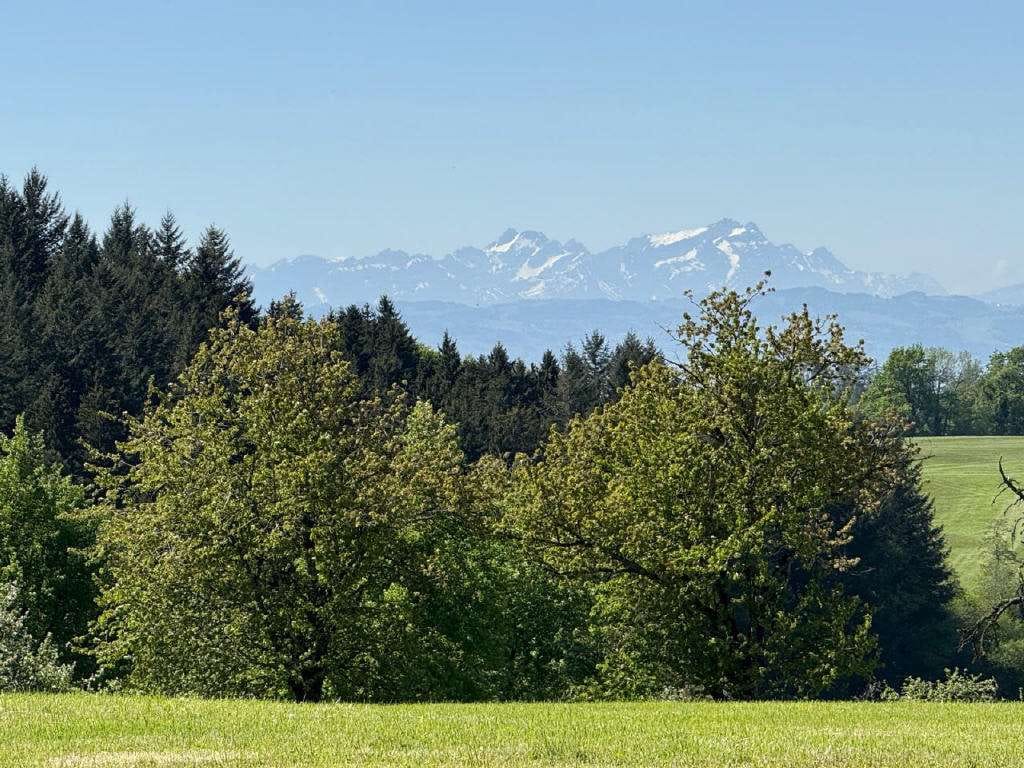 Immobilie in Neukirch - Erbauen Sie sich Ihren Bauernhof neu! Top Lage nahe Bodensee mit tollem Ausblick! - Bild 0