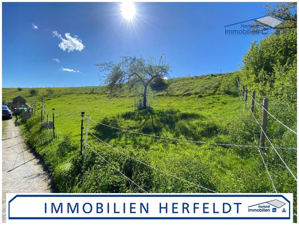 Immobilie in Denklingen - Besonderes Neubau-EFH schlüsselfertig mit Blick über Denklingen - 1.035 m² Grundstück mit Bergblick! - Bild 4