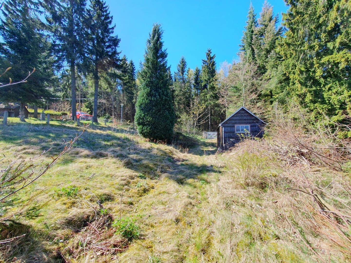 Immobilie in Altenberg - SELTENE GELEGENHEIT!!! Wochenendhaus in idyllischer Lage im schönen Osterzgebirge!!! - Bild 4