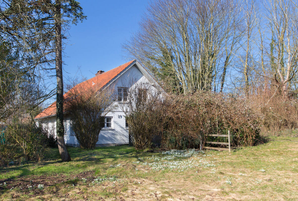 Immobilie in Winnemark - Zweifamilienhaus mit großem Garten in ruhiger Lage - Bild 4