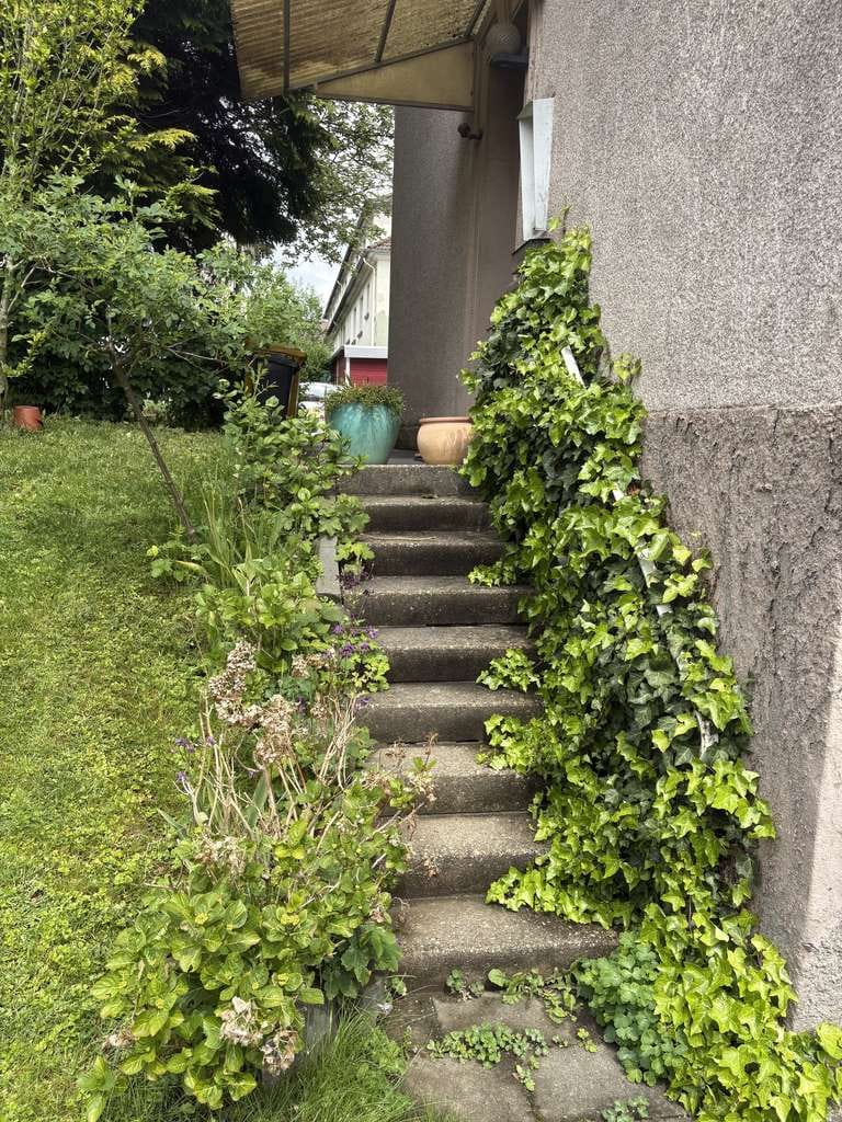 Immobilie in Solingen - *Provisionsfrei* Mehrfamilienhaus mit Potenzial - Bild 1
