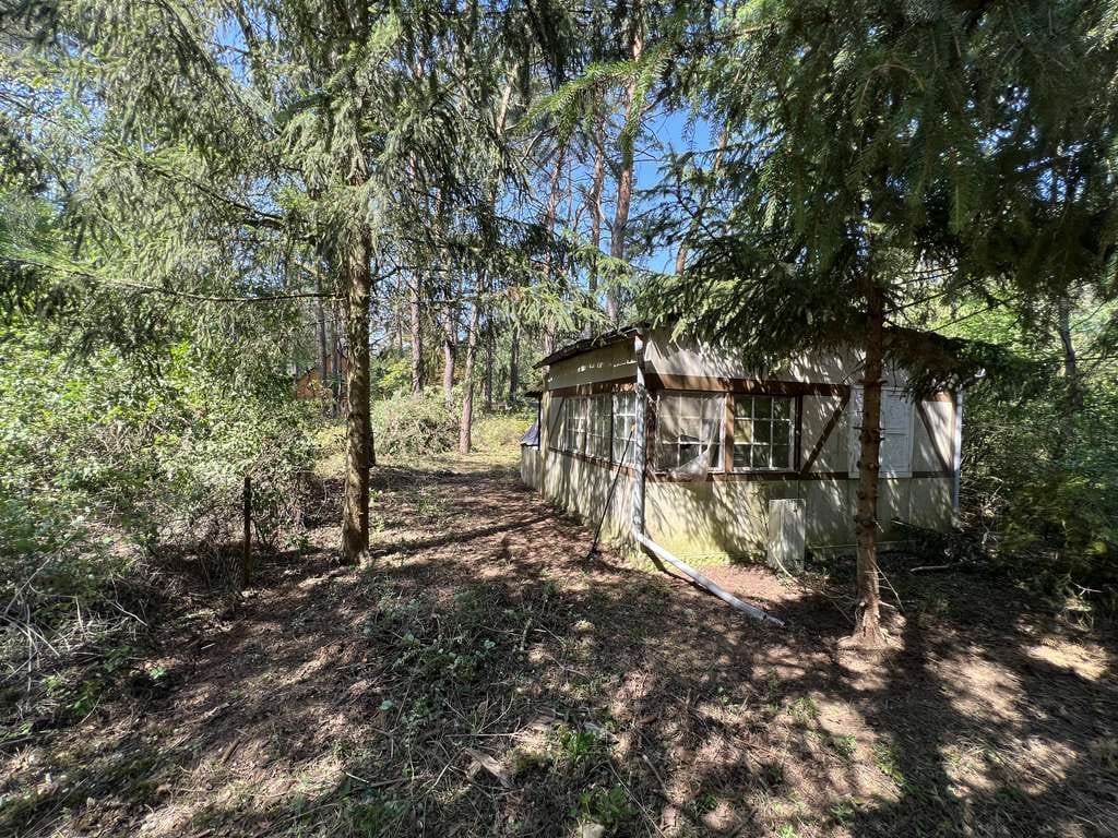 Immobilie in Borkheide - Waldgrundstück mit Bestandsgebäude in Borkheide 799 m² Nähe Berlin - Bild 3
