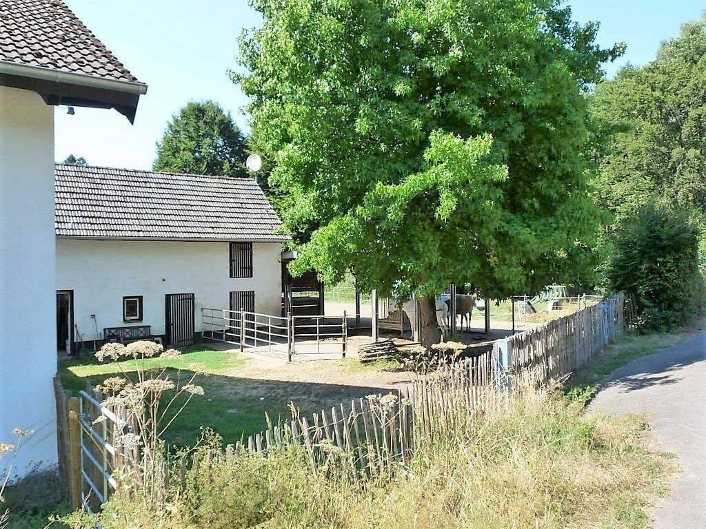 Immobilie in Flammersfeld - IMMOBILIEN LONNY** Historisches Anwesen mit Pferdehaltung - Bild 2