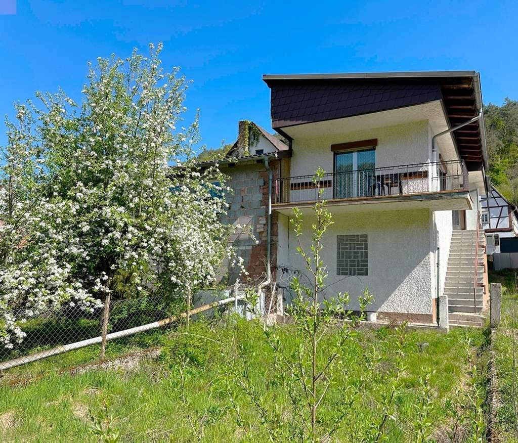 Immobilie in Hinterweidenthal - Ein Haus zum attraktiven Preis, viele Möglichkeiten – Wohnen, Arbeiten oder Vermieten im Pfälzerwald - Bild 1