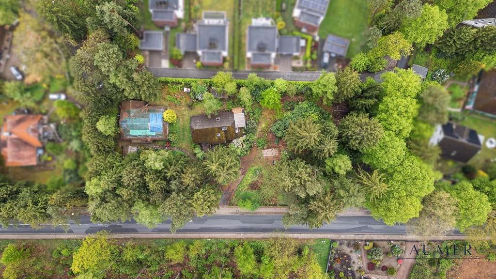 Immobilie in Buchholz in der Nordheide - Wo der Wald beginnt: 3.000 m² und zwei Häuser in Holm-Seppensen - Bild 2