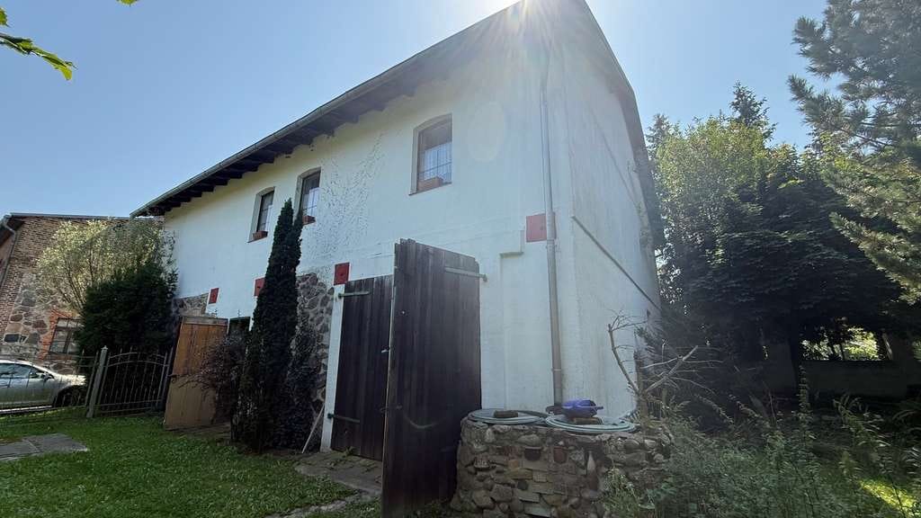Immobilie in Felixsee - Sommerresidenz und mehr! - Bild 2