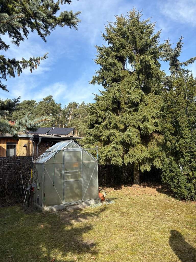 Immobilie in Krugsdorf - Bungalow im Naherholungsgebiet - Bild 3