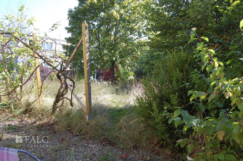 Immobilie in Waldeck - +++PREISSENKUNG! Schönes Einfamilienhaus mit vielseitigen Möglichkeiten in der Nähe des Edersees!+++ - Bild 3